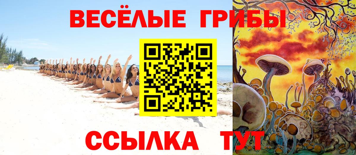 Галлюциногенные грибы Psilocybe  Галлюциногенные грибы Psilocybine cubensis  Ахтубинск  Вход с VPN 